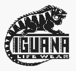 iguana iguana