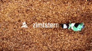 Zimtstern Lagerverkauf