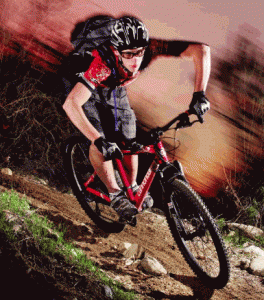 Cannondale Lagerverkauf Cannondale Lagerverkauf