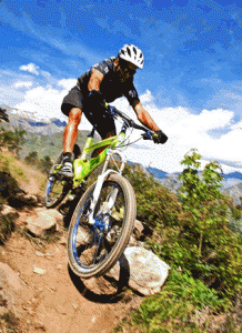 GT Bicycles Lagerverkauf GT Bicycles Lagerverkauf