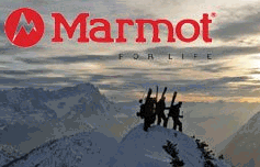Marmot